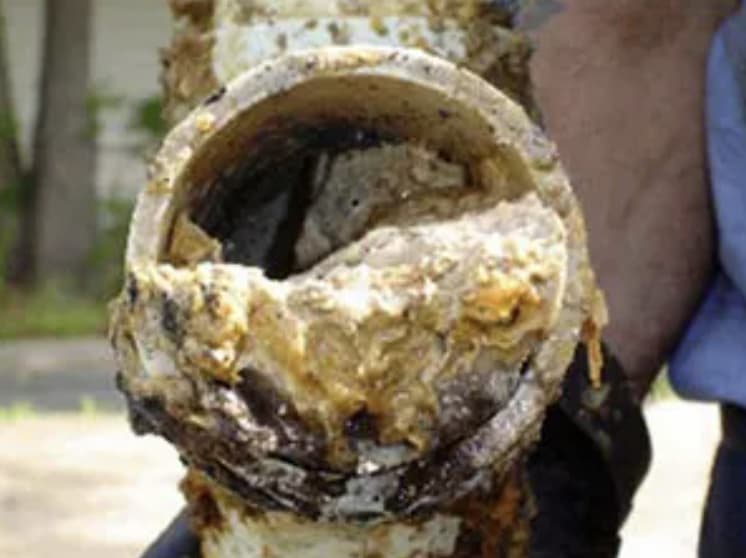 fat and grease clogged pipe