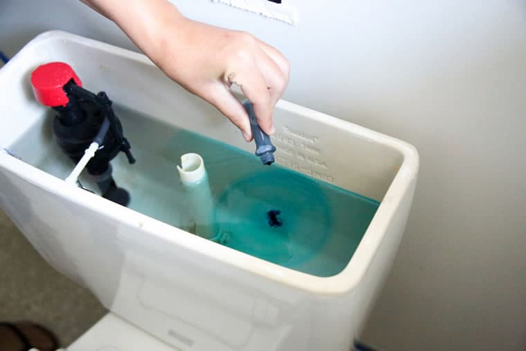 putting dye in the toilet is a method of leak detection
