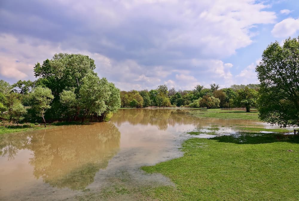 redirect storm water from property