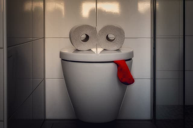 overflowing toilet is a common plumbing issue that needs to be fixed immediately