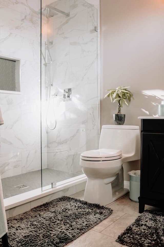 toilet installation Everett WA