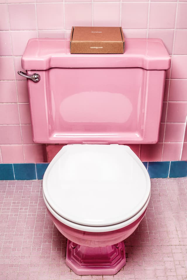 toilet repair in Everett WA