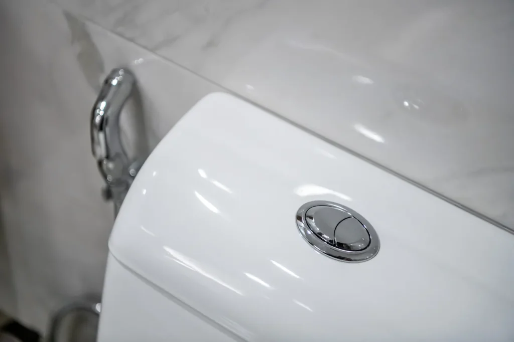 double flushing toilet button on top of tank